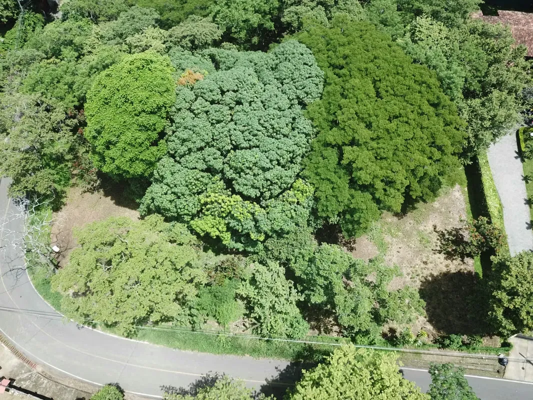 RESIDENTIAL LOT FOR SALE TURRUCARES RESIDENCIAL JV543