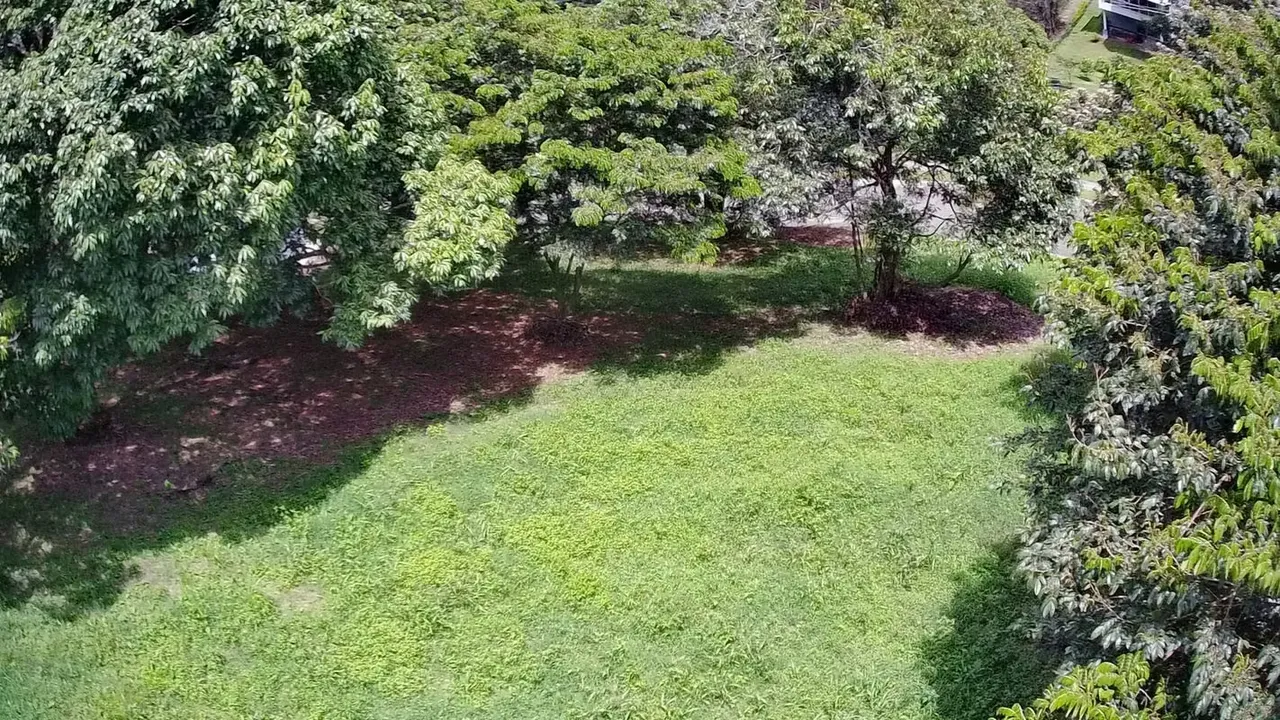 Lote en Venta Naranjo Condominio Natura — photo 5