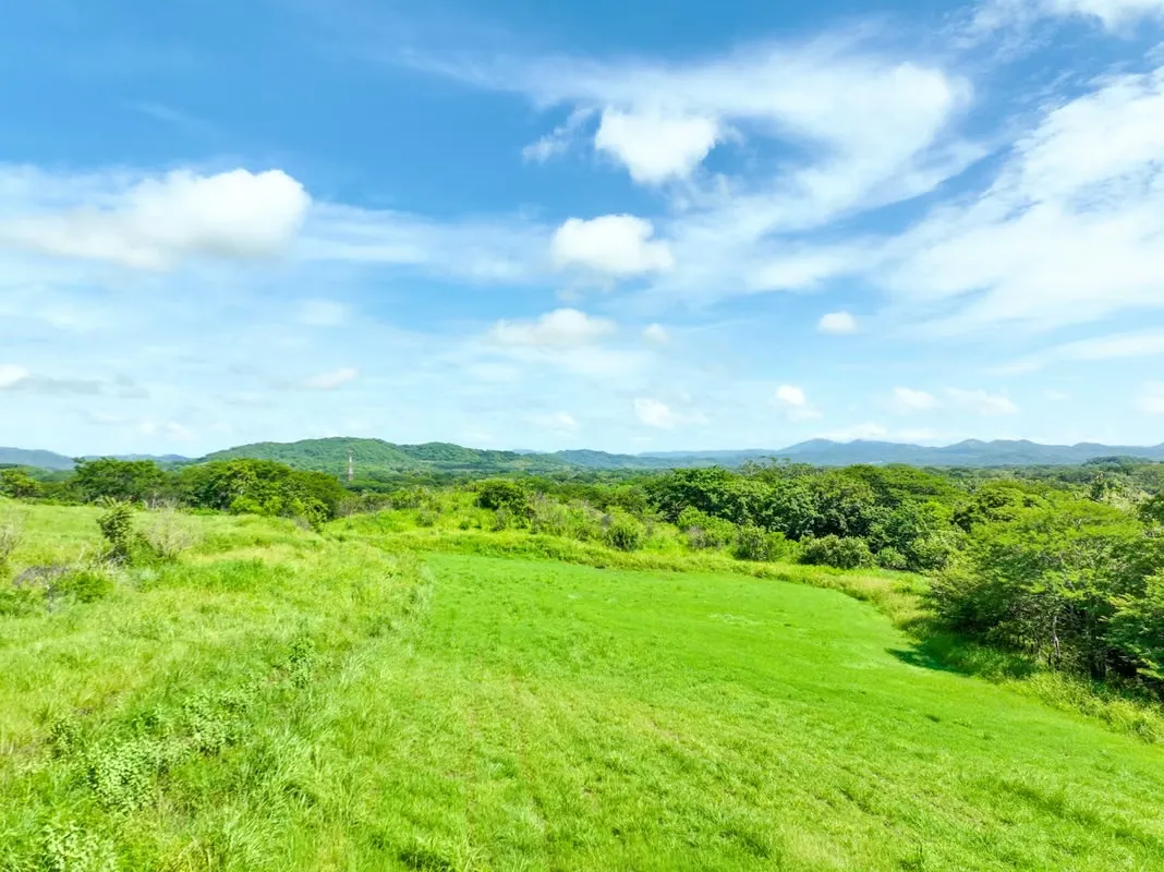 Land for sale totally flat, strategic and with accesses ready for solar development.