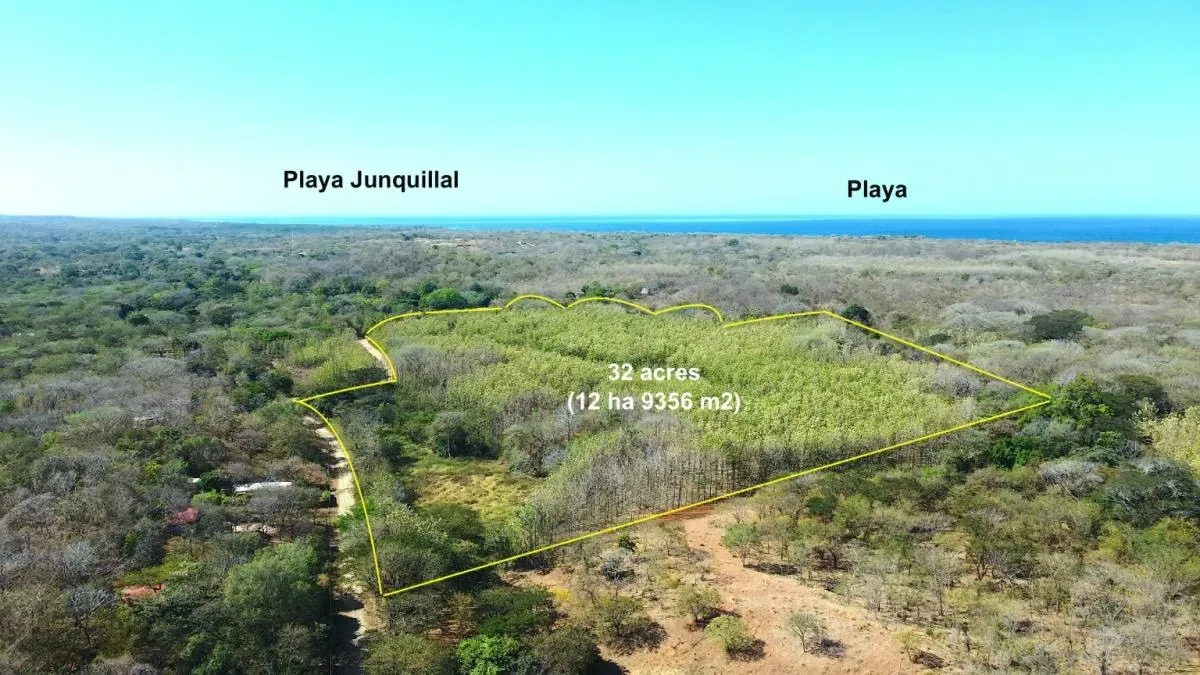 Venta de Finca de Teca Guanacaste (32 Acres)