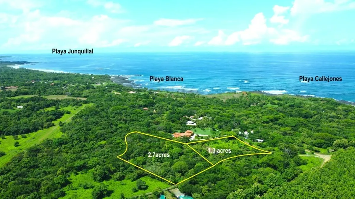 This listing consists of two adjacent titled properties, mostly flat, ideal for tree and creek lovers. The land ...