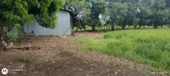Venta finca Guanacaste Bagaces 56 mill colones GANGA