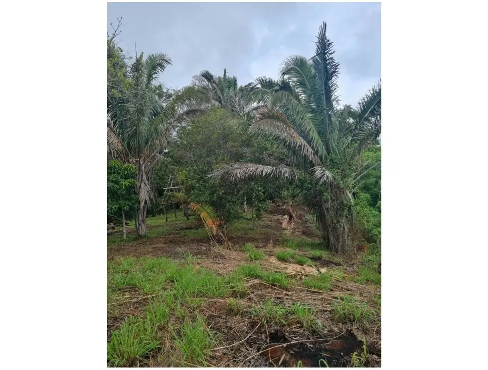 FARM FOR SALE, GUANACASTE, SANTA CRUZ, RETALLANO