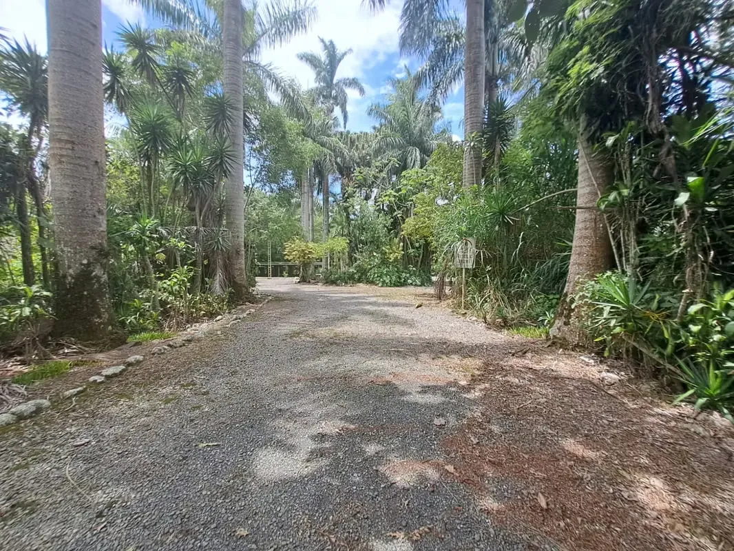 Discover this spectacular 31-hectare property located in one of the most beautiful and fertile valleys in Costa Rica. Nestled in an ...