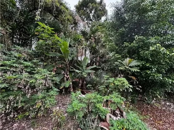 LOT FOR SALE IN HEREDIA, SANTO DOMINGO, LOS ANGELES, ROUTE 32 — photo 2