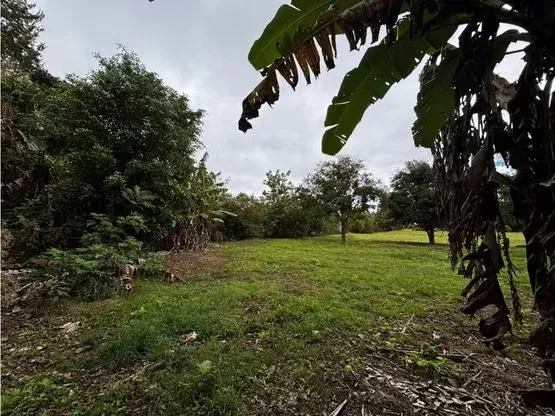 LOT FOR SALE IN HEREDIA, SANTO DOMINGO, LOS ANGELES, ROUTE 32 — photo 5