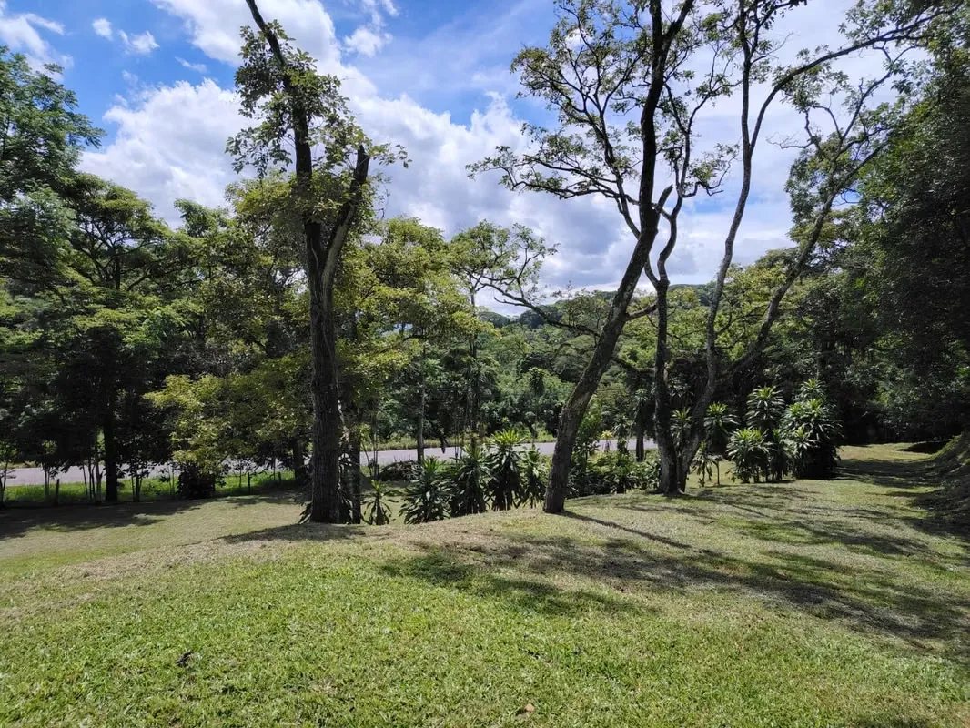 EN VENTA - ESPECTACULAR PROPIEDAD, 6 HECTAREAS– LOS ANGELES DE ATENAS