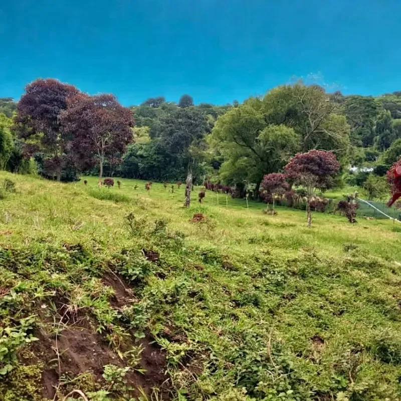 ¡Este es el lote perfecto para vivir rodeado de naturaleza, contar con una hermosa vista y una ubicación estratégica lejos del ...