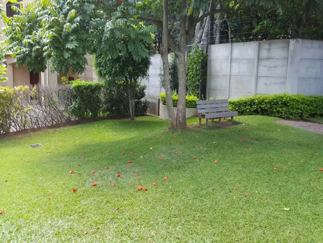 HOUSE FOR SALE-CONDOMINIUM IN BRAZIL OF MORA — photo 2