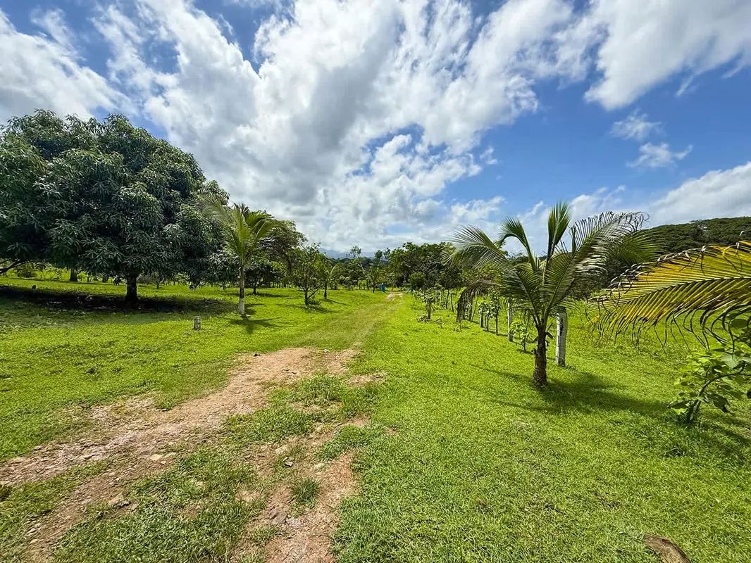 Se vende Terreno en Chomes, Puntarenas (MV).