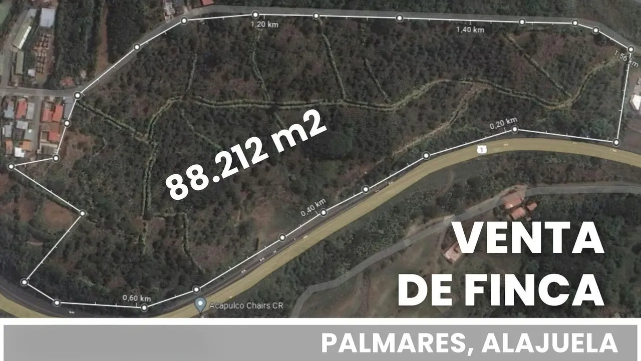 Farm for Sale in Palmares, Alajuela - Investment Opportunity -