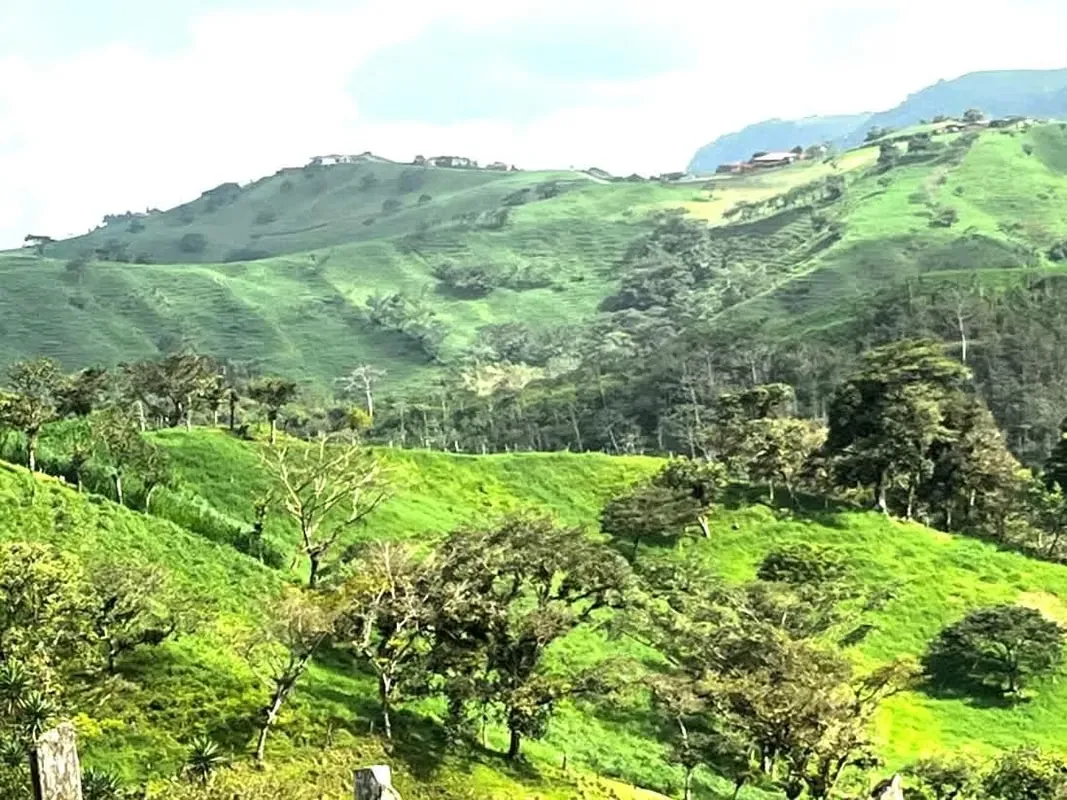 Zarcero is well known for it´s park, topiary style, for their wonderful string cheese, nice town with great nature.