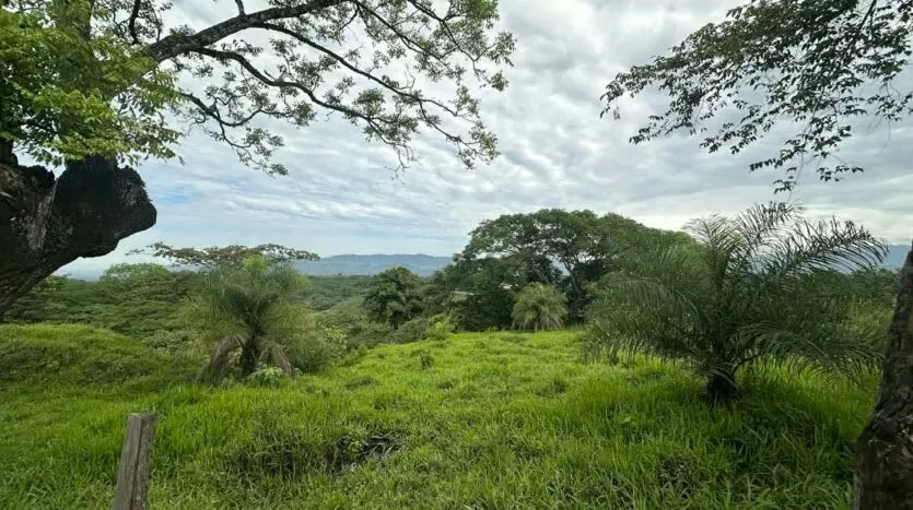 Beautiful Lot for Sale - Investment Opportunity