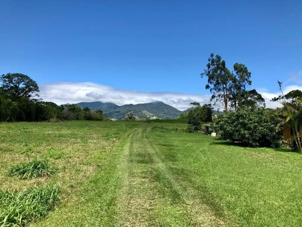 Land for Sale | 5 Flat Hectares in San Jerónimo de Moravia
