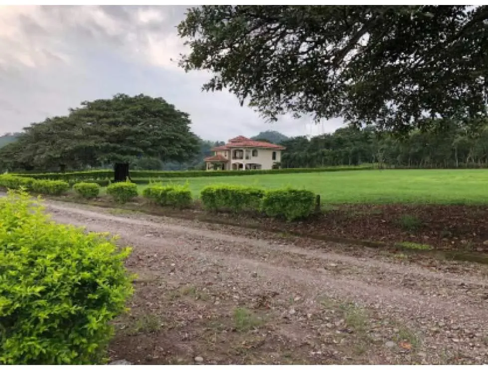LOT FOR SALE, PUNTARENAS, HACIENDA MONTES DE ORO