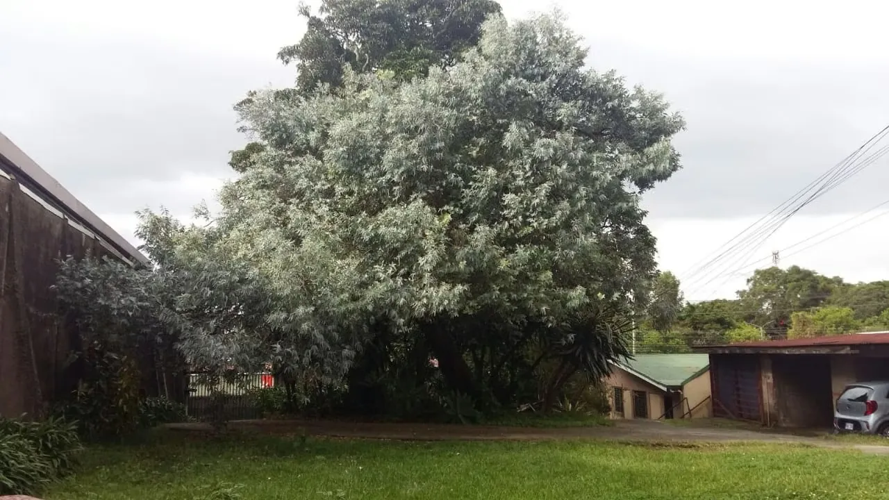 Se VENDE Terreno en Sabanilla, Montes de Oca