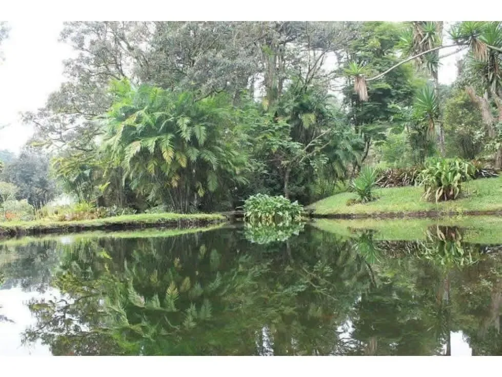 VENTA DE FINCA, LOS ANGELES, SAN RAFAEL, HEREDIA 40215 (IH)