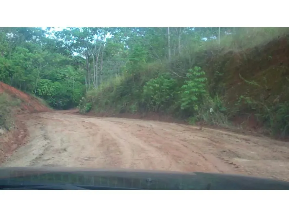 Se vende (Venta) terreno en Parrita, Playa Esterillos COD SU 1420 — photo 2