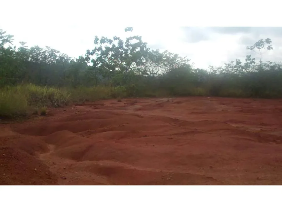 Se vende (Venta) terreno en Parrita, Playa Esterillos COD SU 1420 — photo 4