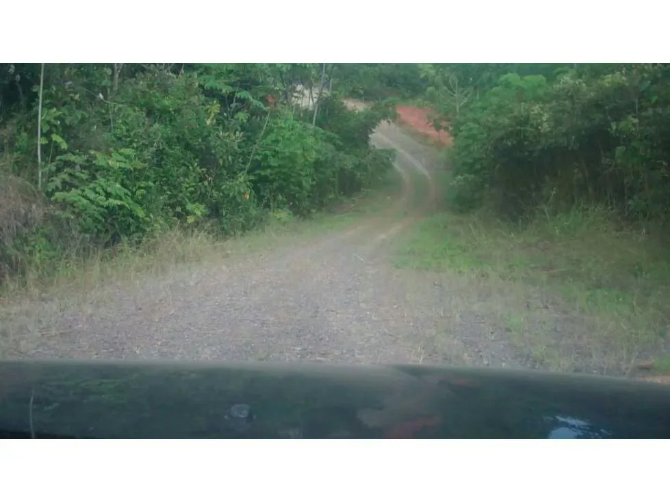 Se vende (Venta) terreno en Parrita, Playa Esterillos COD SU 1420 — photo 5