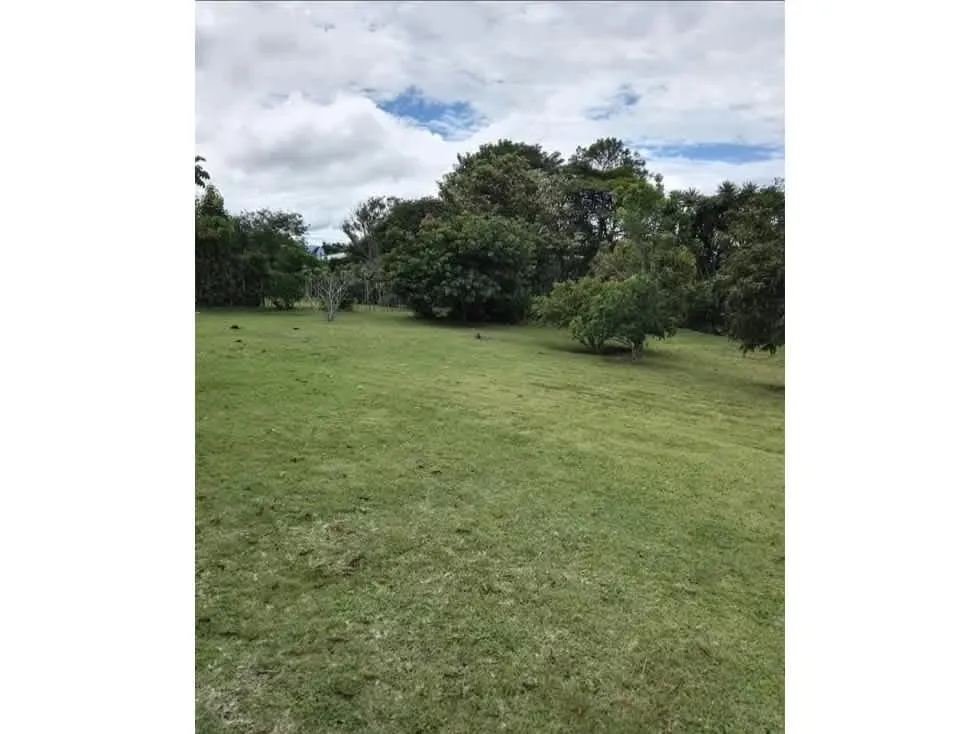 VENTA DE HERMOSO TERRENO, LOS ANGELES, SANTO DOMINGO 4095 (GC)