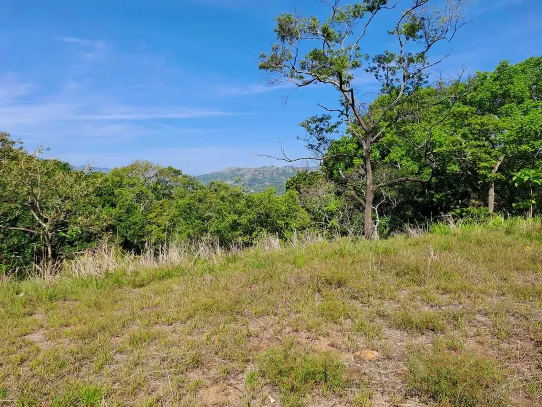 Project for sale development land in La Garita all permits ready — photo 3