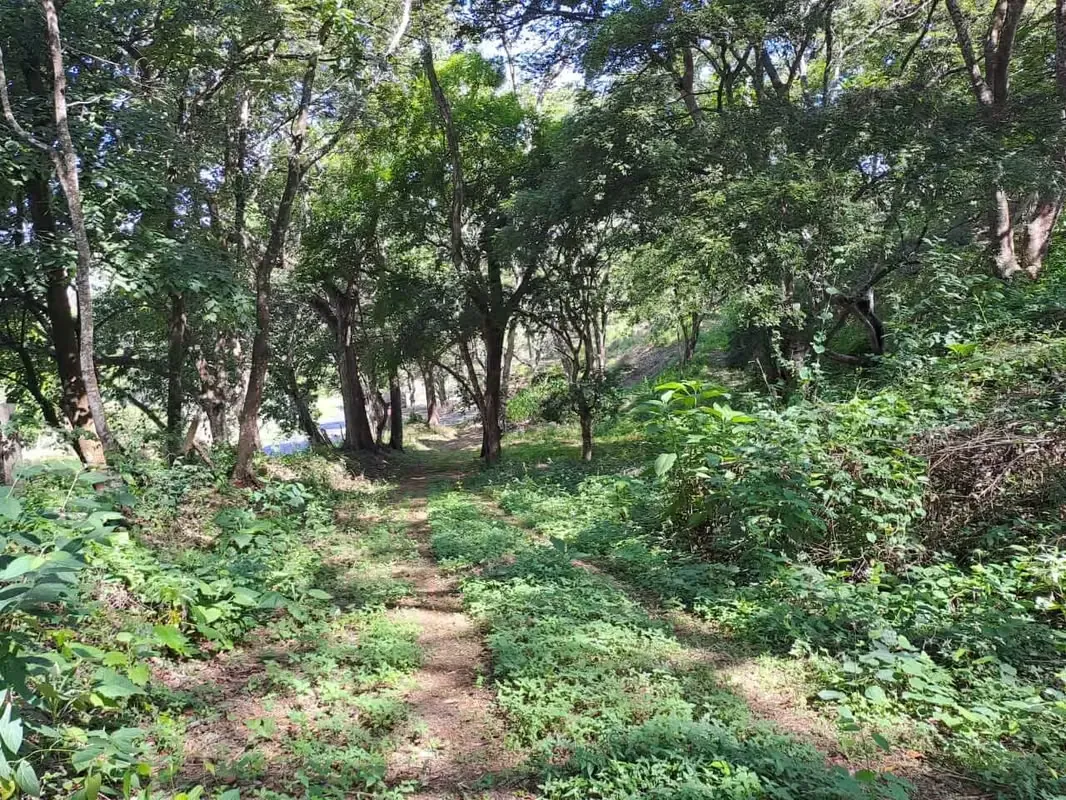 Project for sale development land in La Garita all permits ready — photo 4