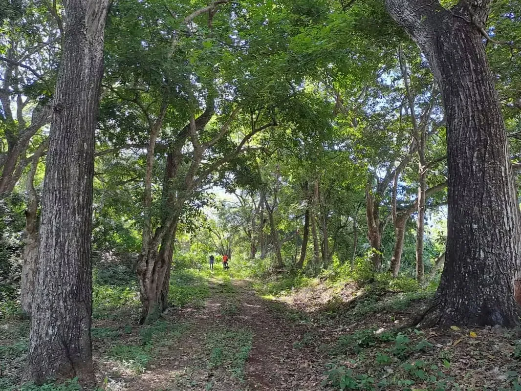 Project for sale development land in La Garita all permits ready — photo 5
