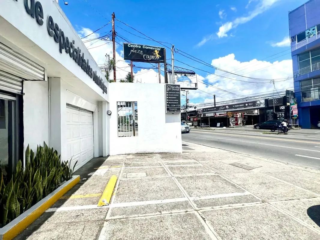 Commercial place San Francisco de dos Ríos 244m2
