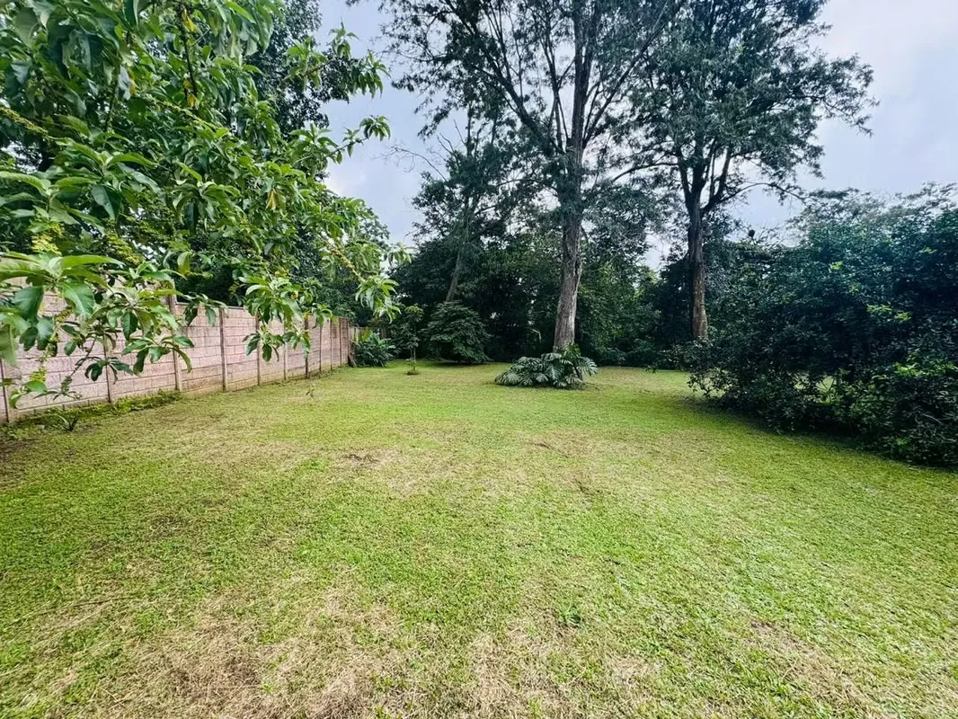 JV- Amplia Propiedad Comercial en Alquiler ID #40257 — photo 3