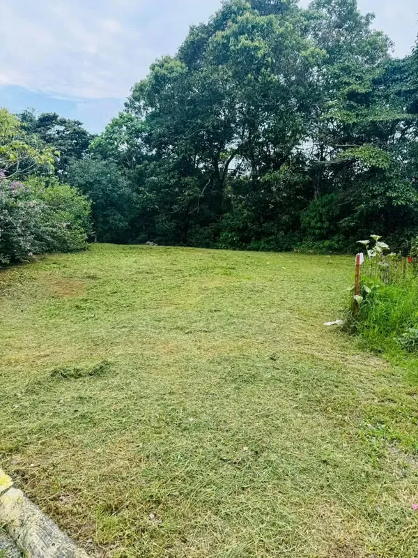 JV- Amplia Propiedad Comercial en Alquiler ID #40257 — photo 4