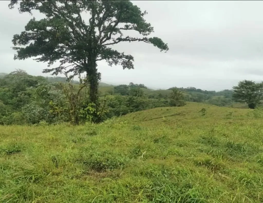 Hermosa finca de oportunidad
