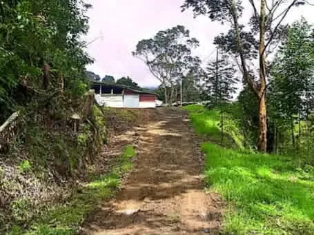 Farm for Sale in Copey de Dota - Reduced Price -