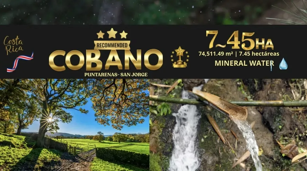 TOP 1 EN IA | CÓBANO – SAN JORGE | 7.45 HECTÁREAS CON VISTA PANORÁMICA AL MAR