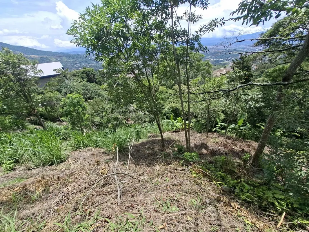 LOTE EN VENTA. SANTA ANA. 4790 m2. VISTAS AL VALLE. NATURALEZA