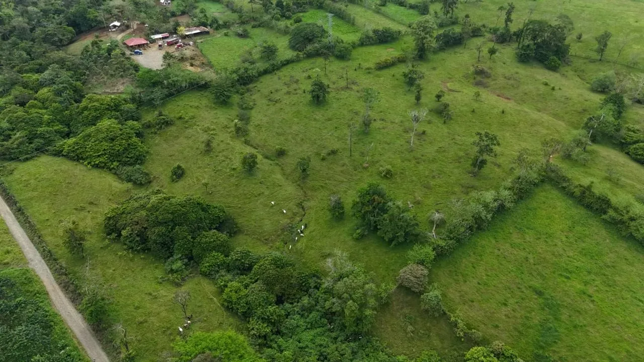 Terreno en Venta –  Guácimo, Limón