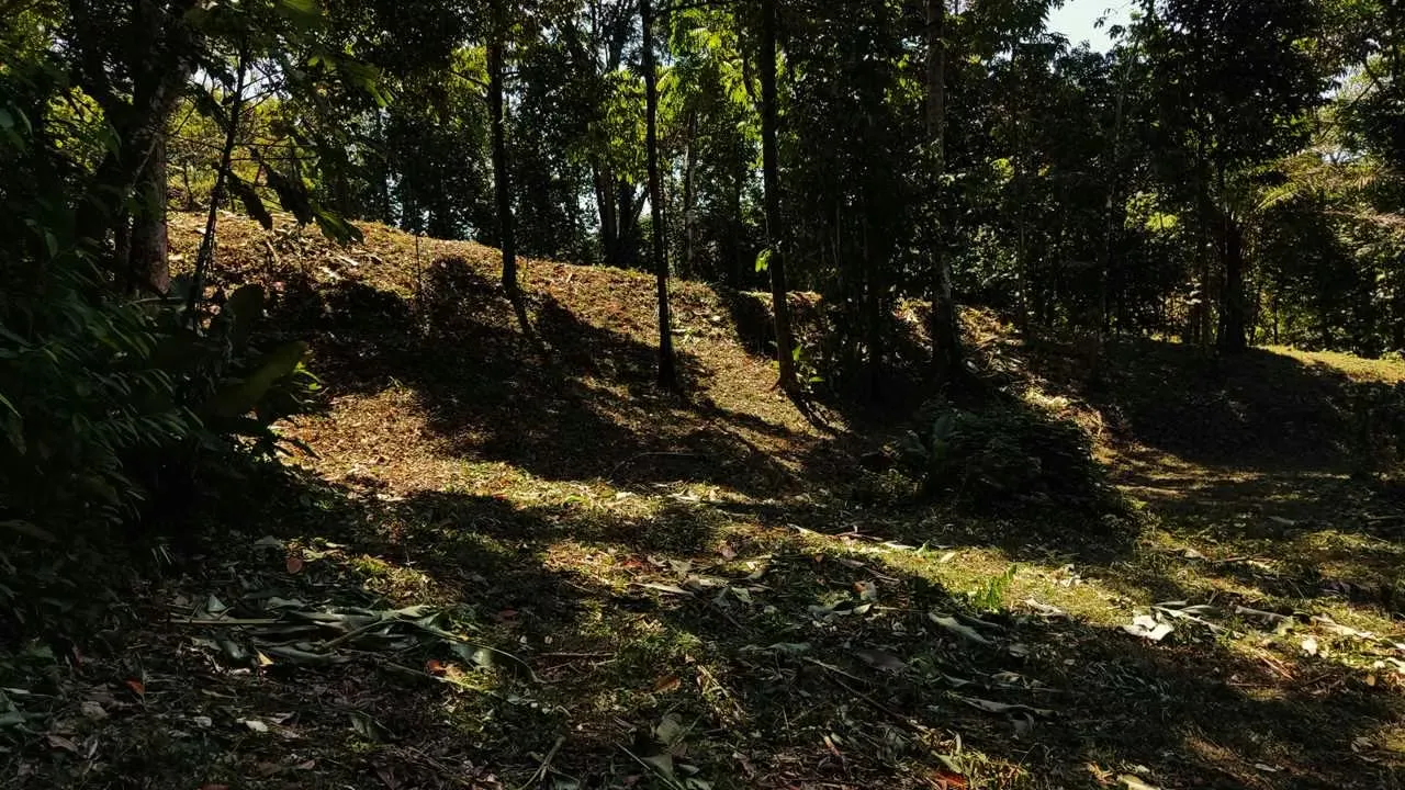 PRIME LOTS FOR SALE IN PUNTA UVITA ( BAHIA BALLENA)