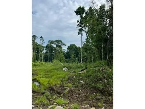 ORGANIC FARMHOUSES FOR SALE, LIMÓN, SUERRE, POCOCÍ