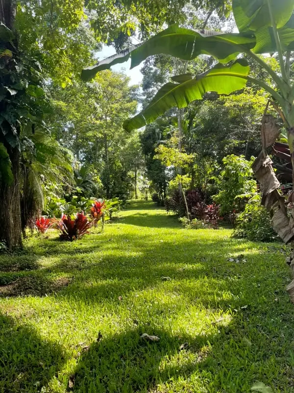 Unique Property for Sale in Higuito, San Mateo