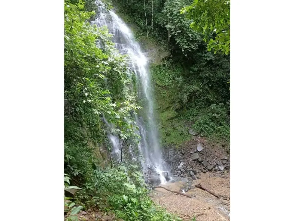 Oportunidad venta terreno  en  Punta Mala Corcobado Peninsula de Osa