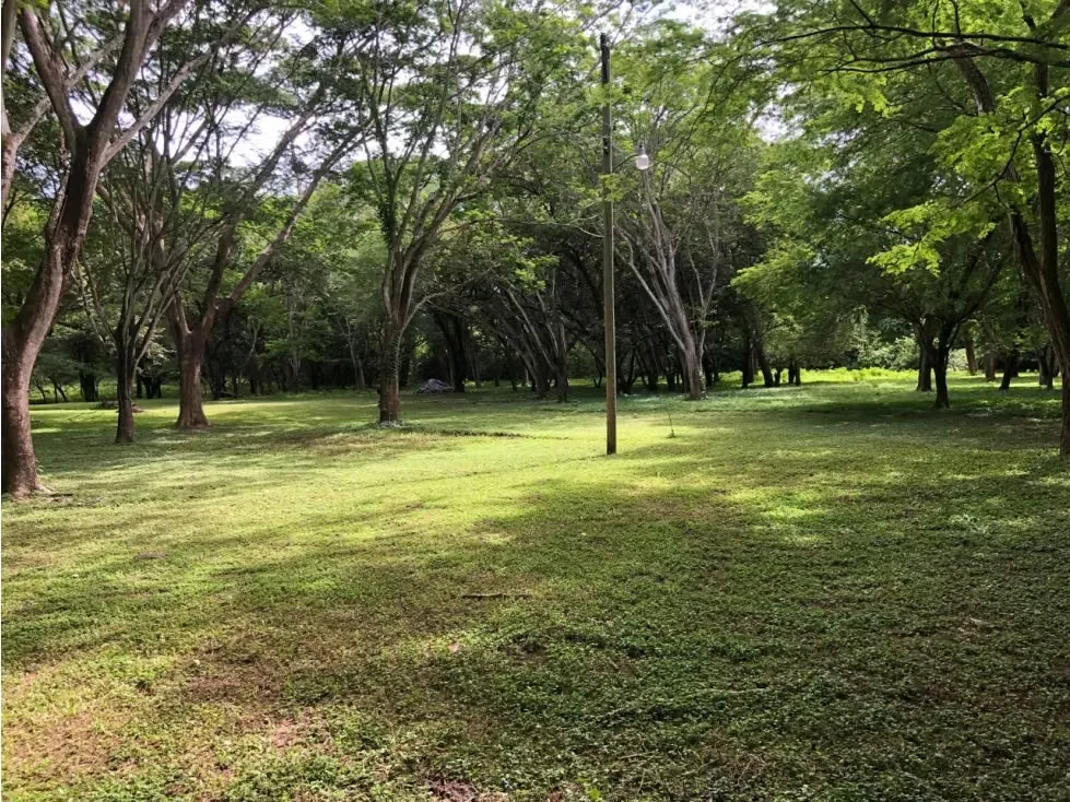 Venta de hermoso terreno en Guanacaste
