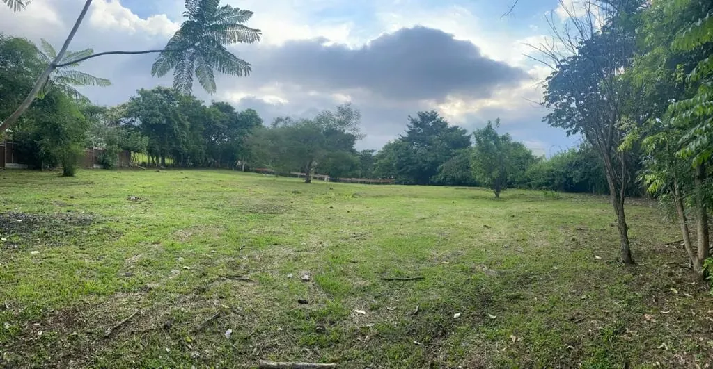 Descubra la oportunidad de construir la casa de sus sueños en un entorno natural y exclusivo. Este terreno de 2,240 m² se encuentra en una de las zonas más serenas y codiciadas de ... — photo 3