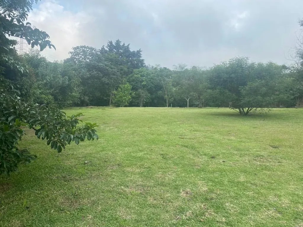 Descubra la oportunidad de construir la casa de sus sueños en un entorno natural y exclusivo. Este terreno de 2,240 m² se encuentra en una de las zonas más serenas y codiciadas de ... — photo 4