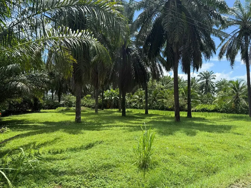 Venta de Lote en Playa Bandera, Parrita, Puntarenas (MV)
