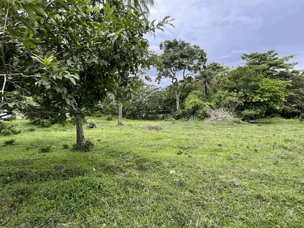 Spectacular land for sale for real estate development - Santa Ana