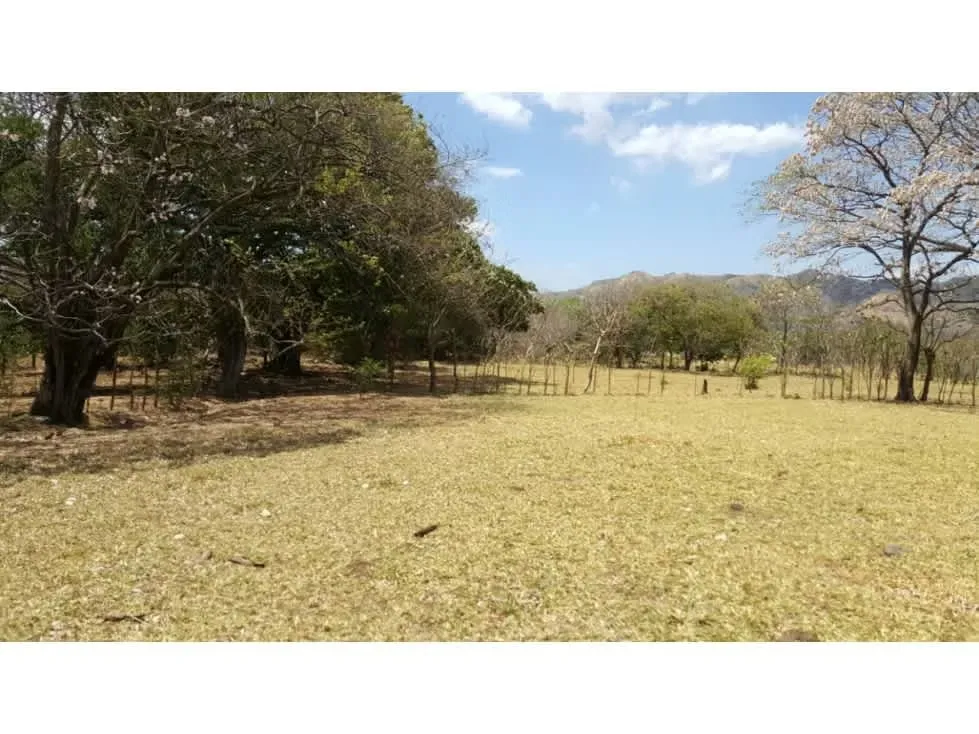 Venta lote en Alajuela, Turrucares - Ata densidad para desarrollo