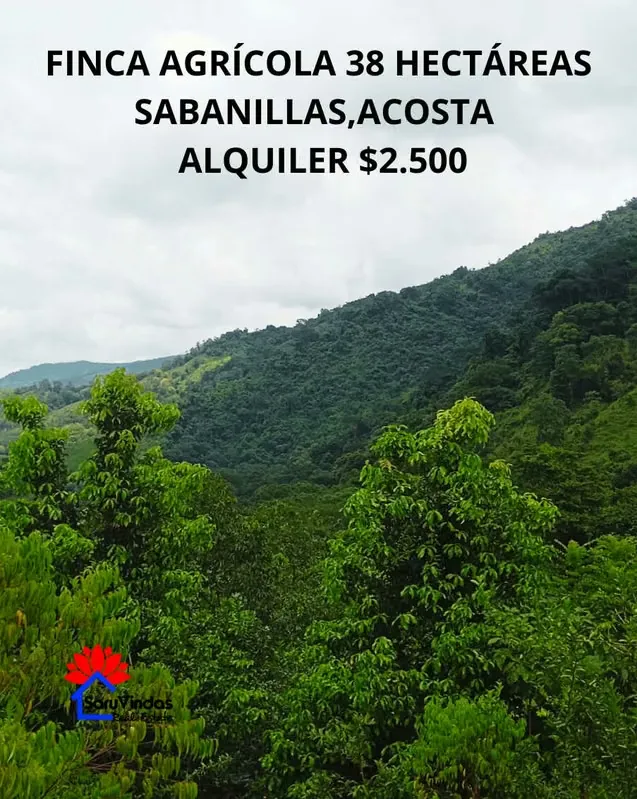 Unique Opportunity: 94-acre Farm for Rent – Sabanillas de Acosta