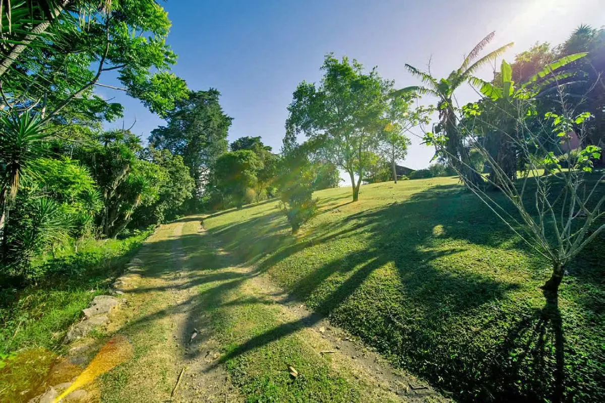 San Rafael, Montes de Oca (Costa Rica) - Fantastic 1.2 hectares (12,108 m2; 3 acres) property for sale, ideal for condominium development, approximately 1 kilometer east of Parque del ... — photo 3