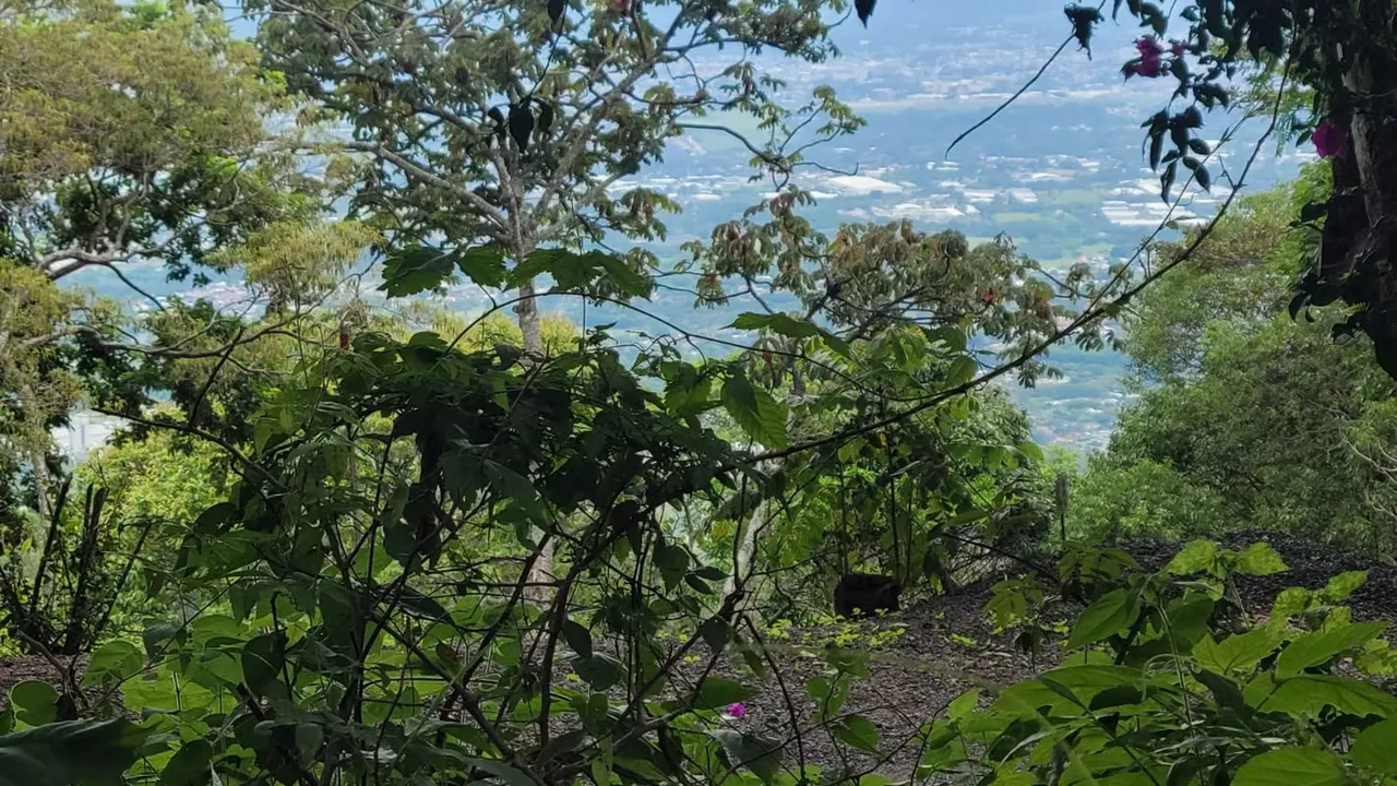 Can you imagine waking up with these amazing views every day? This unique lot is located in one ...