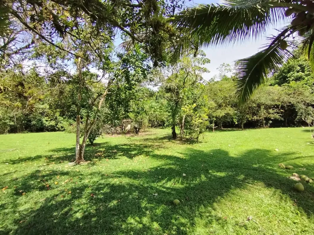 3.2 Hectáreas de Pura Vida – Terreno con Río Cristalino  